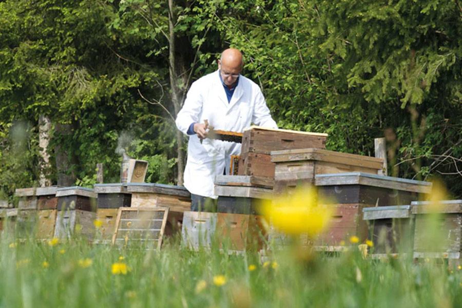 Imker bei der Arbeit Imker bei der Arbeit