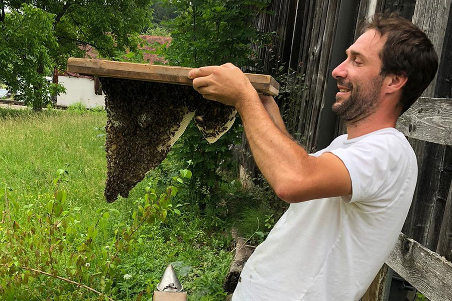Summtgart Imker mit Bienen Summtgart Imker mit Bienen
