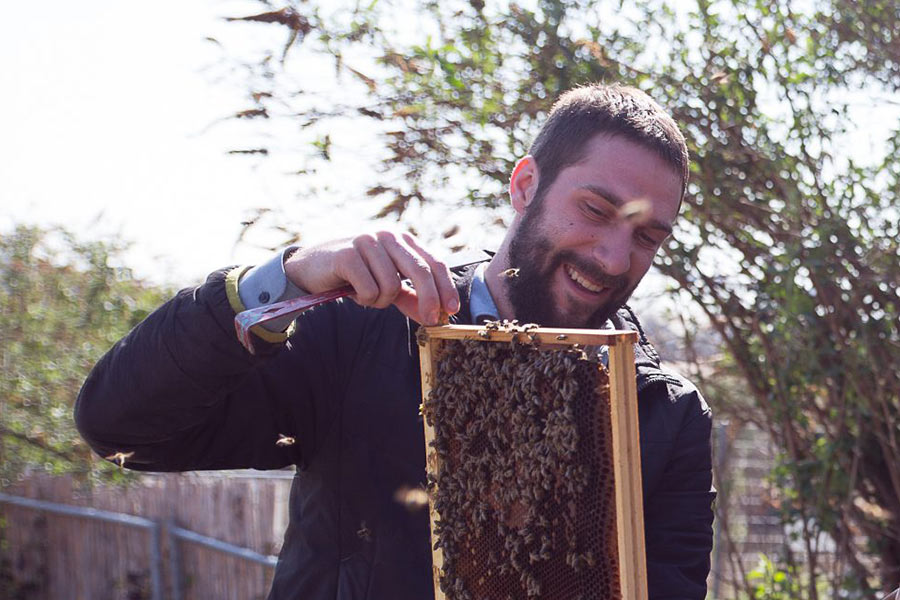 Summtgart Imker mit Bienen Summtgart Imker mit Bienen