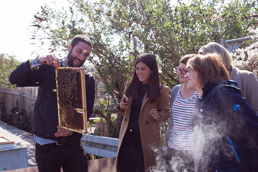 Summtgart Imker mit Bienen und Interessierten Summtgart Imker mit Bienen und Interessierten